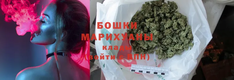 Бошки Шишки OG Kush  Карасук 